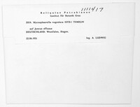 Image Associated With the Occurence